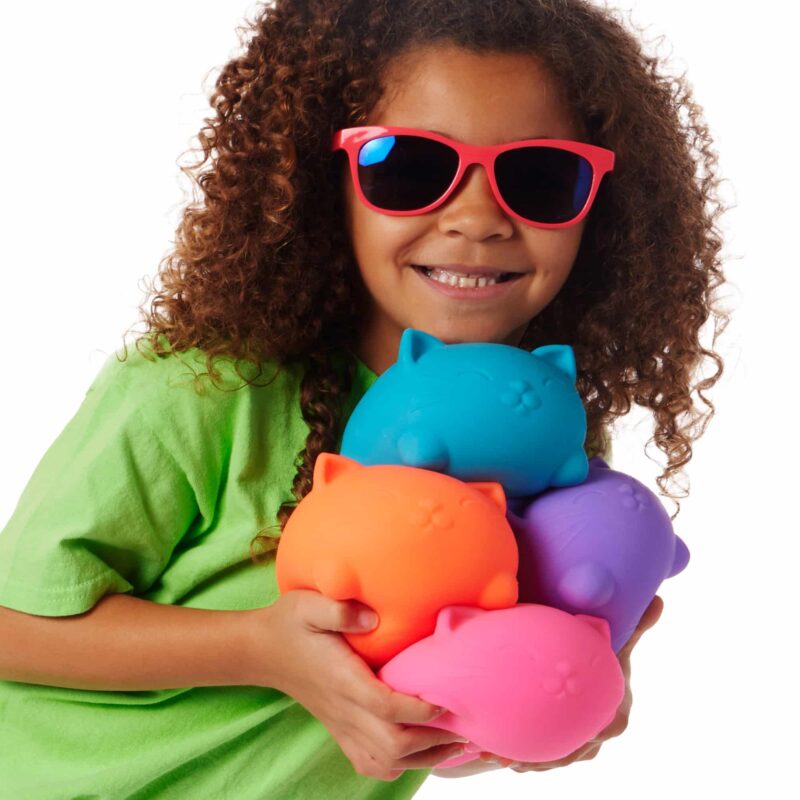 Super NeeDoh Cool Cats - US 3353