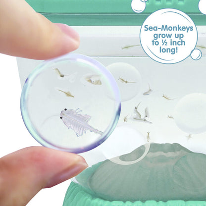 Sea-Monkeys Ocean Volcano - US 7155