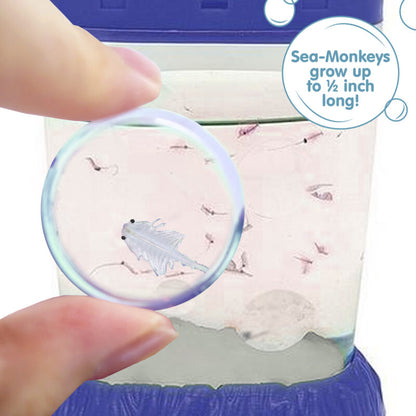 Sea-Monkeys Magiquarium - US 8520